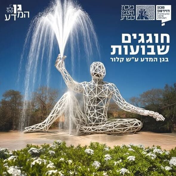 צילום:שרית גופן | ליאת פלי