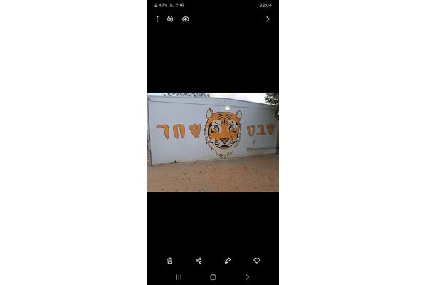 שבט השחר