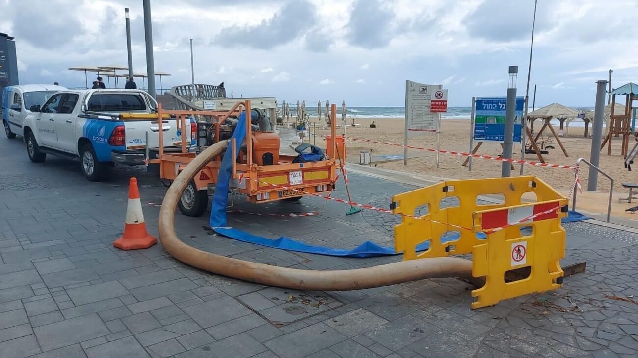 צבי לנצמן3 צבי לנצמן3