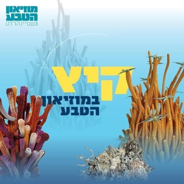 צילום מתוך דף הפייסבוק דיגיתֵל עיריית תל אביב יפו