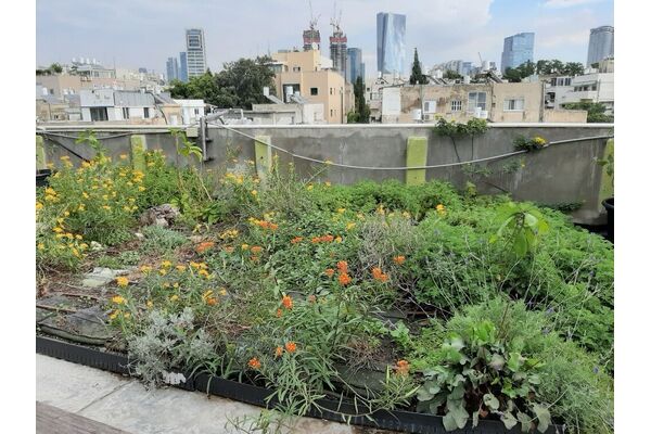 צילום מתוך דף הפייסבוק דיזנגוף סנטר תל אביב