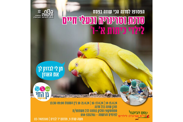 צילום מתוך דף הפייסבוק עיריית פתח תקווה