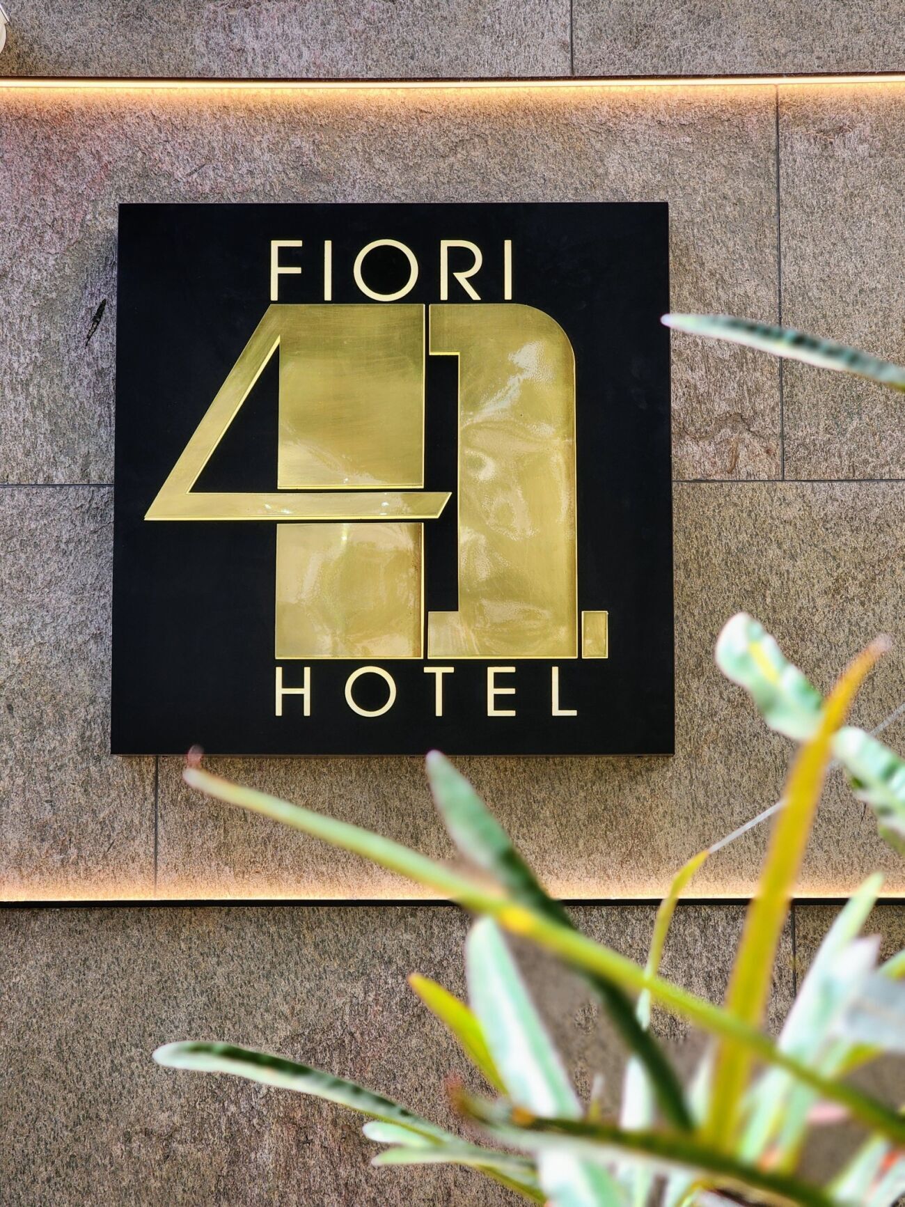 צילום יחצ צילום יחצ