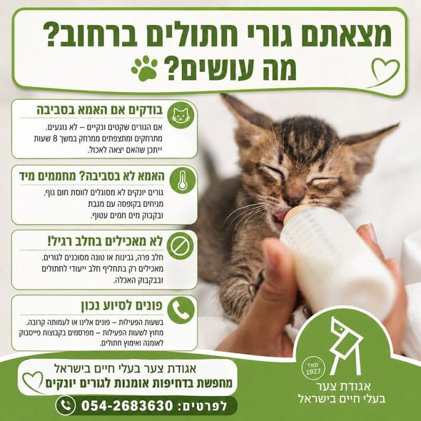 צילום מתוך דף הפייסבוק אגודת צער בעלי חיים בישראל - תל אביב