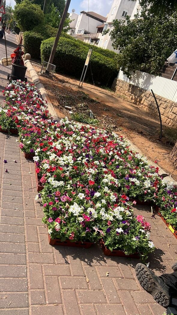 צילום מתוך דף הפייסבוק המועצה המקומית קריית עקרון