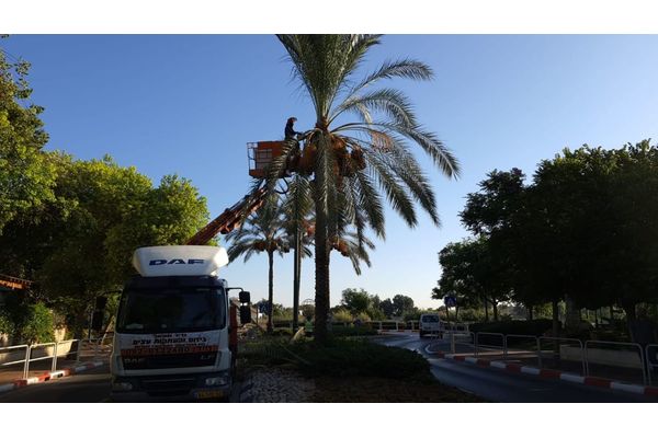 המועצה המקומית גדרה