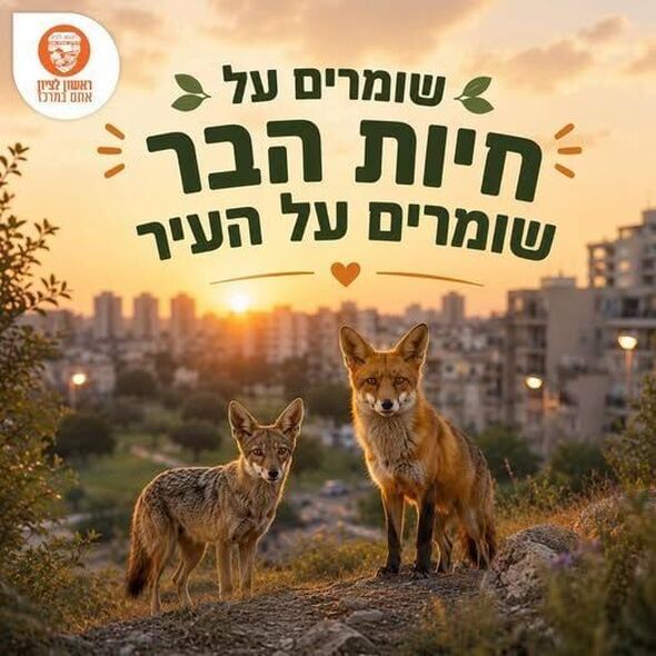 צילום מתוך דף הפייסבוק עיריית ראשון לציון