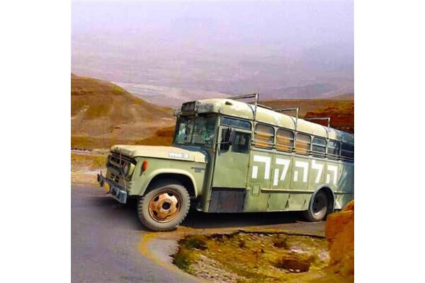 צילומים: עדי ברק