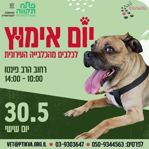 צילום מתוך דף הפייסבוק שרות וטרינרי עיריית פתח תקווה