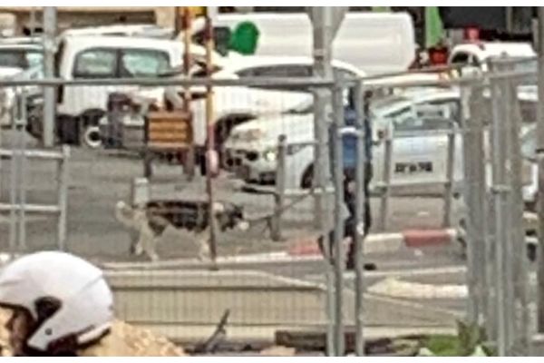 קרדיט: הודיה אהרוני פייסבוק