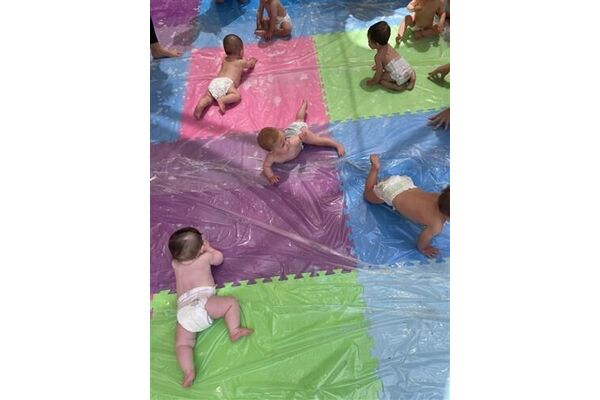 צילומים: דוברת גלב
