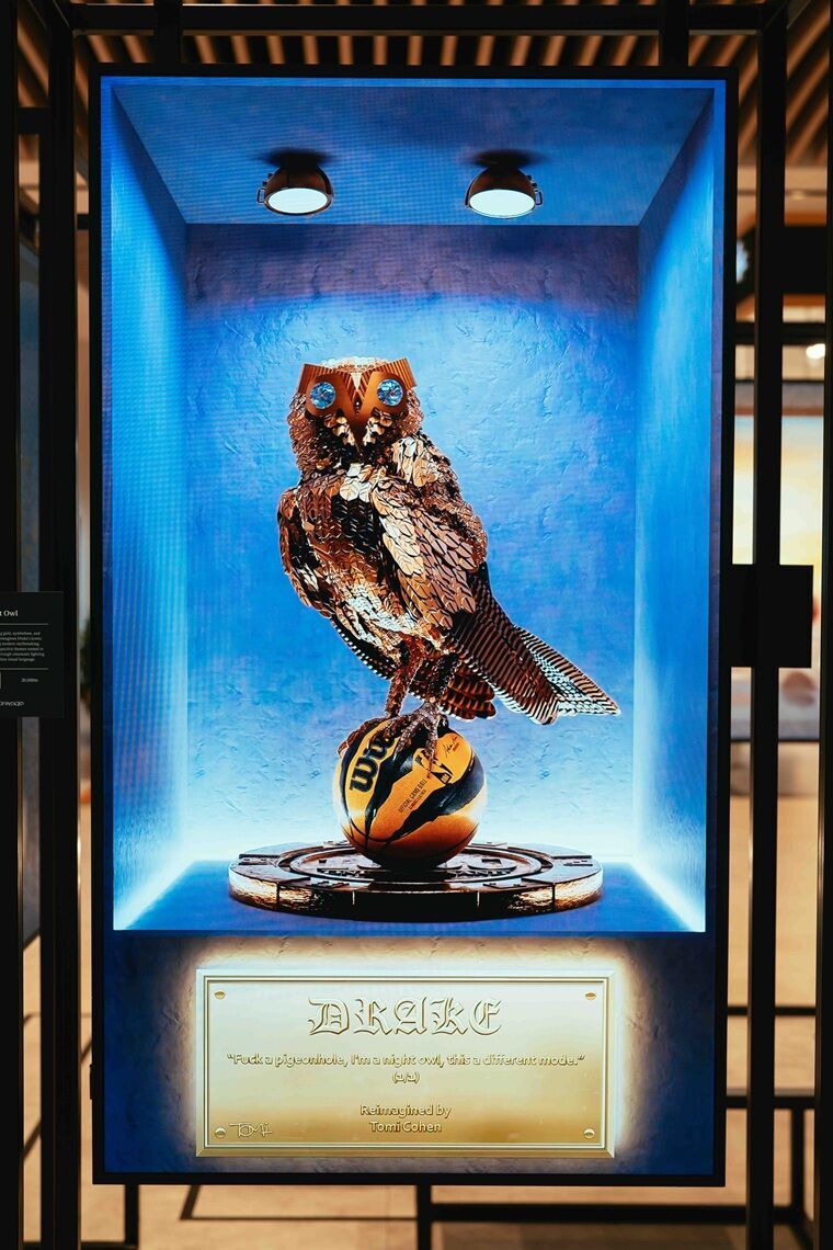 צילום טומי כהן צילום טומי כהן