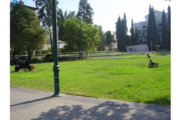 צילום - דר אבישי טייכר