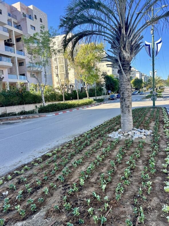 צילום מתוך דף הפייסבוק שמואל בוקסר