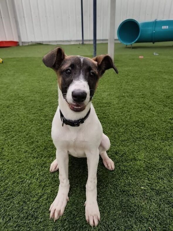 צילום מתוך דף הפייסבוק עיריית פתח תקווה