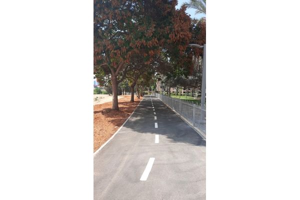 קרדיט: עיריית חולון