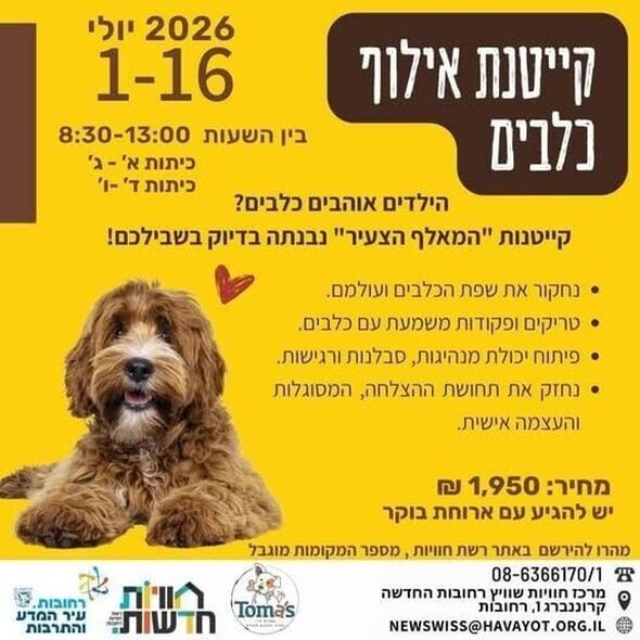 צילום מתוך דף הפייסבוק חוויות רחובות החדשה -שוויץ