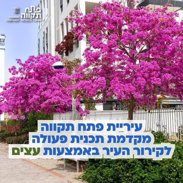 צילום מתוך דף הפייסבוק עיריית פתח תקווה