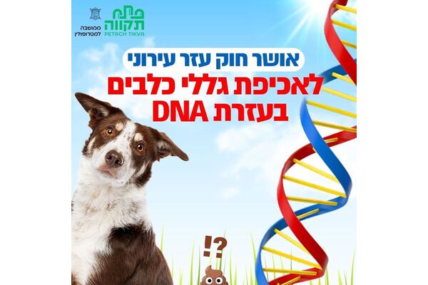צילום מתוך דף הפייסבוק עיריית פתח תקווה