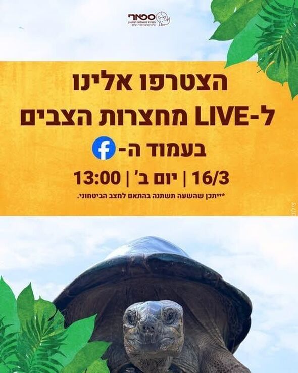 צילום מתוך דף הפייסבוק ספארי רמת גן Ramat Gan Safari