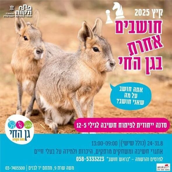 צילום מתוך דף הפייסבוק גן החי פתח תקווה