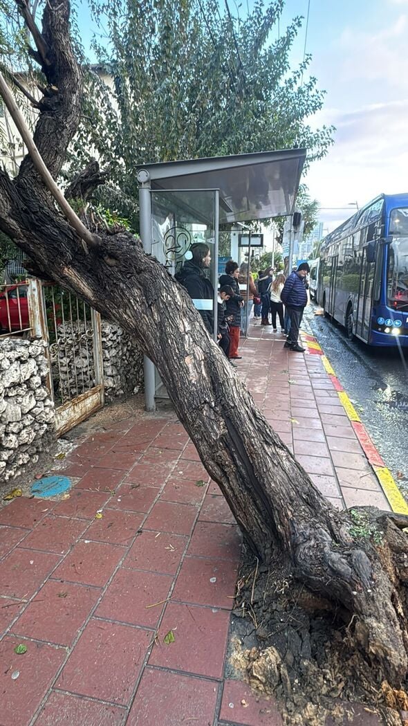 צילום מתוך דף הפייסבוק עיריית רמת גן