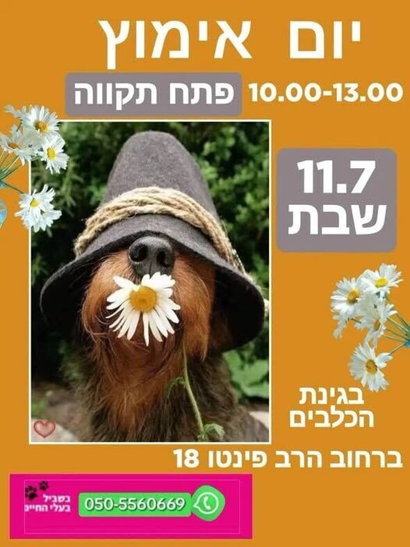 צילום מתוך דף הפייסבוק צדוק בן משה - סגן ראש העיר פ"ת