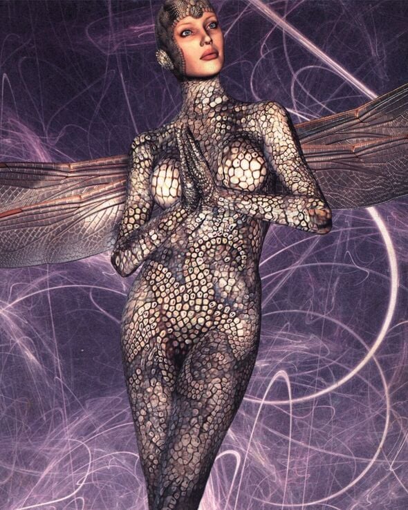 צילום:איה לוי, אבי כץ