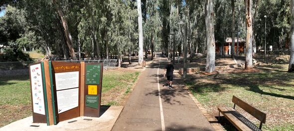 צילומים: אתר עיריית רמת גן