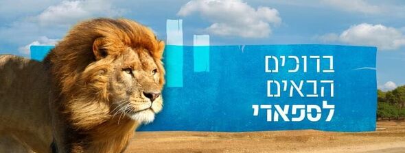 צילום ספארי רמת גן