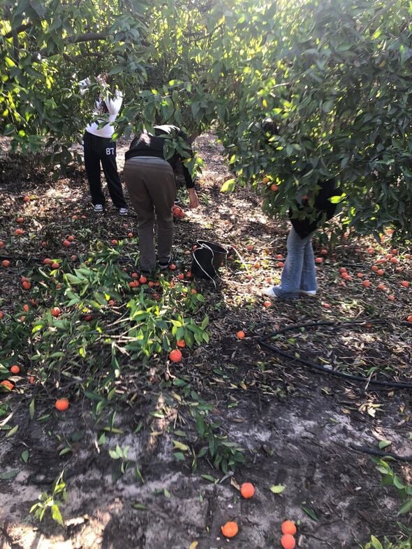 צילום מתוך דף הפייסבוק תיכון דרכא רות