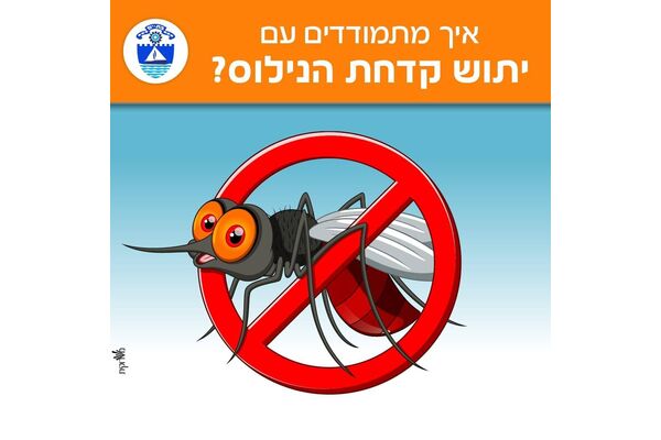 צילום מתוך דף הפייסבוק עיריית בת ים