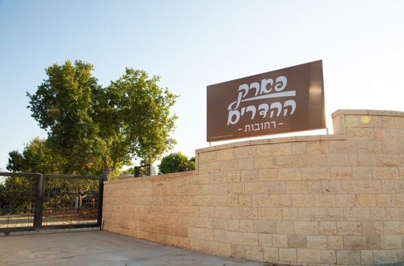 צילום: רון אוריאל
