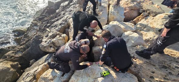 דוברות המשטרה