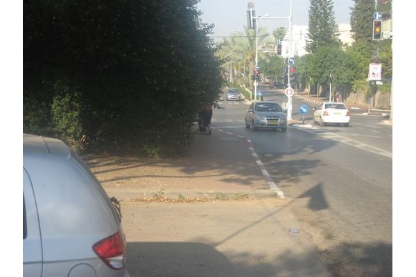 רחובות צומחת - גם השיחים...