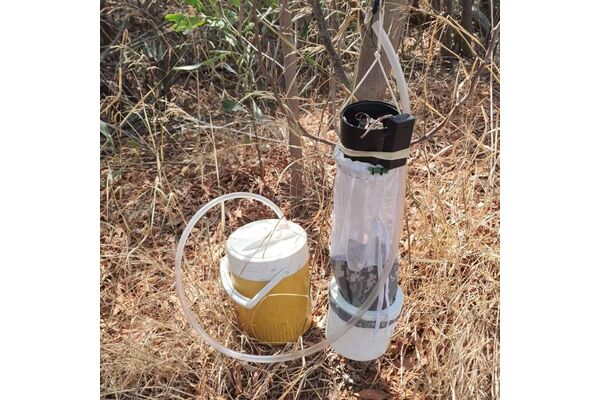 צילום:אלון בר, המשרד להגנת הסביבה