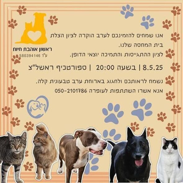 צילום מתוך דף הפייסבוק עמותת ראשון אוהבת חיות