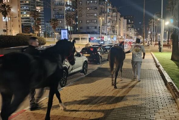 צילום מתוך דף הפייסבוק עיריית בת ים