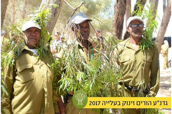 צילום - עדן לב