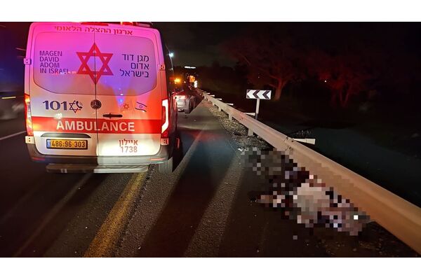 תיעוד מבצעי מד"א