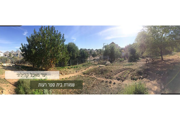 צילום: שמורת ביה"ס רעות יער מאכל קהילתי