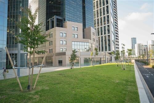 צילום: אילן ספירא