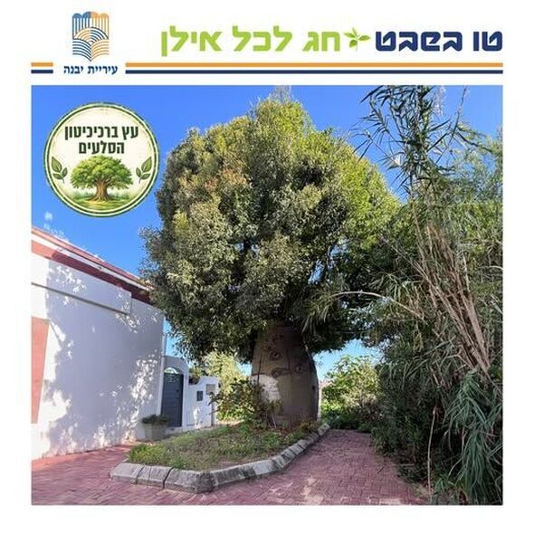 צילום מתוך דף הפייסבוק עיריית יבנה