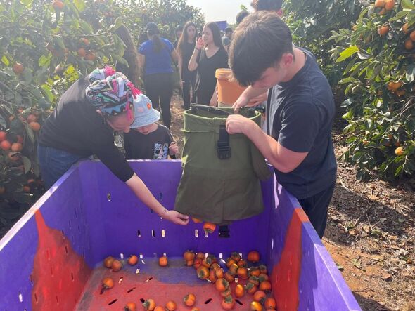 צילום מתוך דף הפייסבוק מחוז תל אביב - משרד החינוך