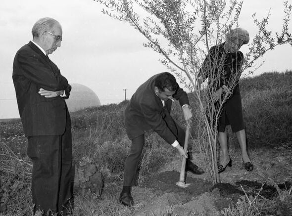 צילום:יואל כהן (על פי השערה)