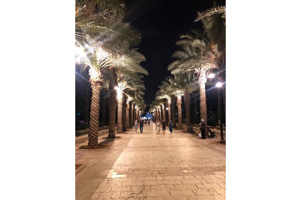 שדרת הדקלים לאחר העבודות