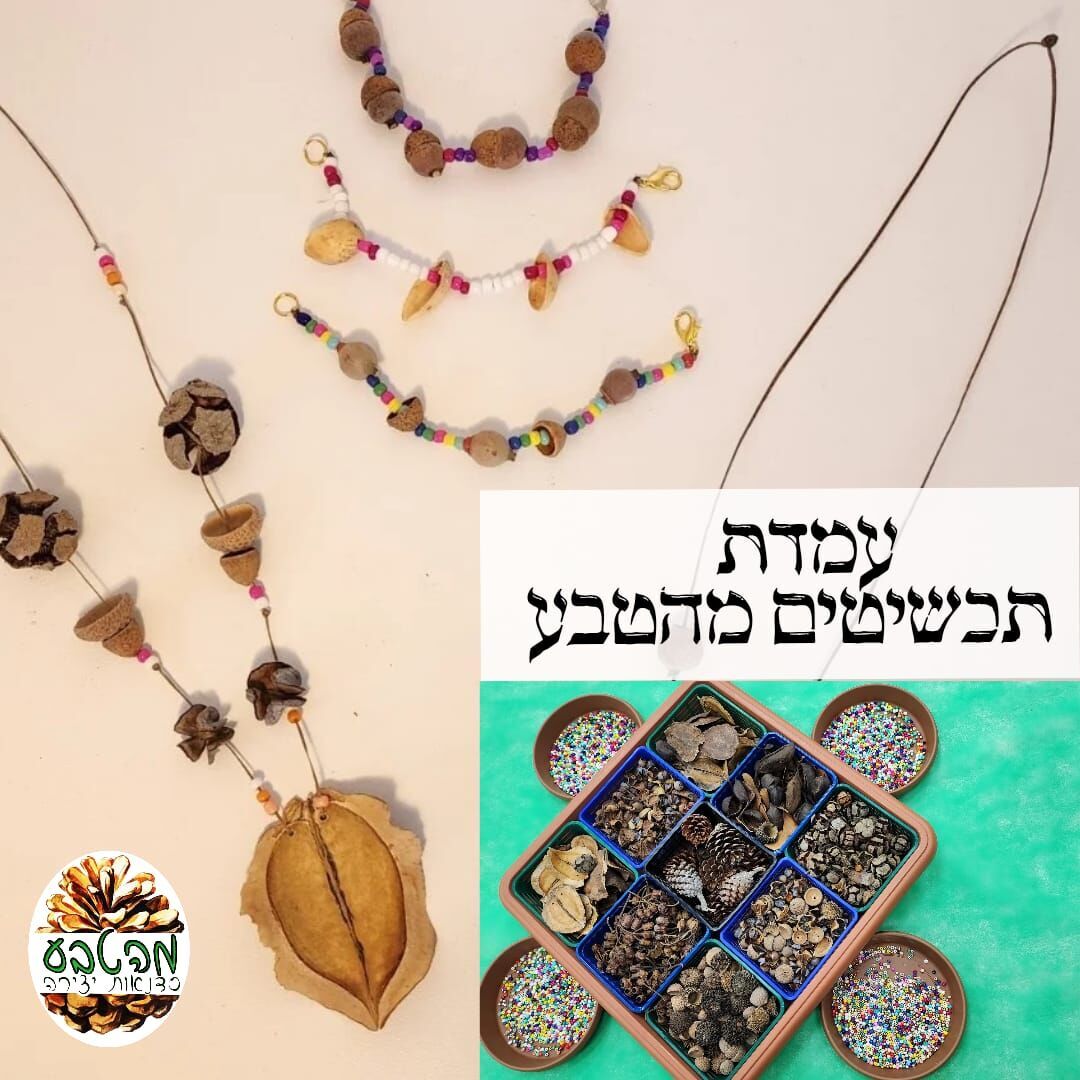 צילום שני טובול צילום שני טובול