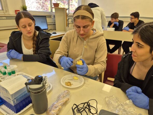 צילום מתוך דף הפייסבוק גימנסיה גן נחום