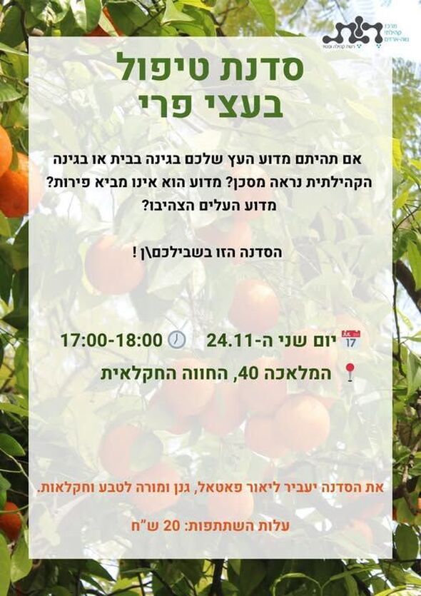 צילום מתוך דף הפייסבוק מרכז קהילתי נווה ארזים