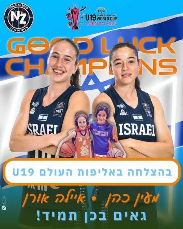 צילום:עודד קרני
